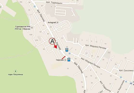 Схема рекламной плоскости по адресу Пасічна, 70