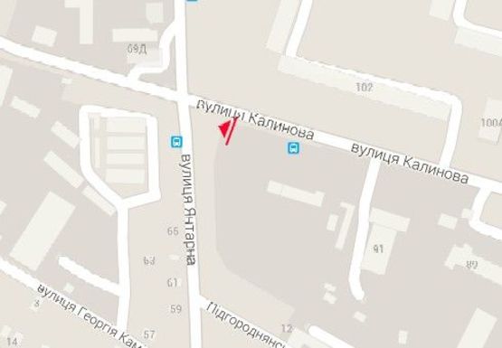 Схема рекламной плоскости по адресу Калиновая ул. - Янтарная ул.