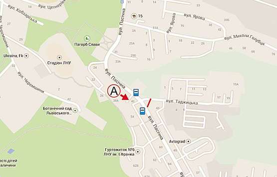 Схема рекламной плоскости по адресу Пасічна -  Таджицька