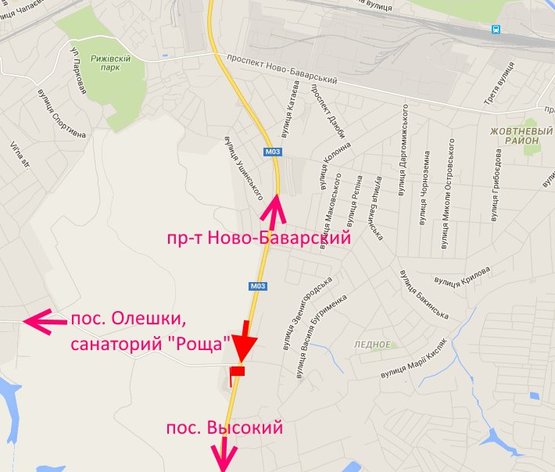 Схема рекламной плоскости по адресу Окружная дорога-поворот на санаторий "Роща"-флажок №1-в ст пос Высокий