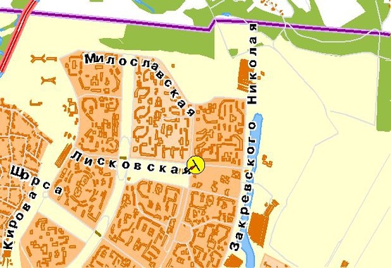 Схема рекламной плоскости по адресу Маяковского пр-т, возле ул.М.Цветаевой, на разделителе, из центра