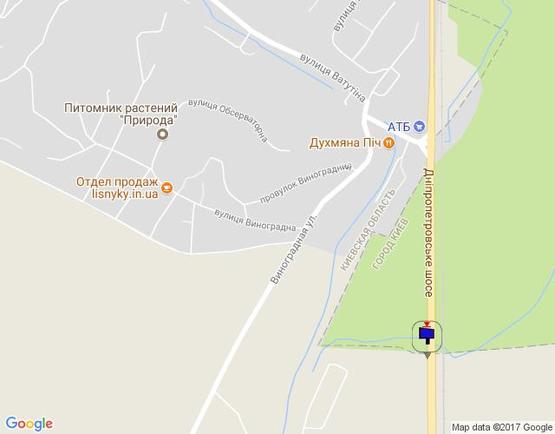 Схема рекламної площини за адресою Дніпровське шосе,  траса Н-01 "Київ-Знам'янка", км 21+590 право