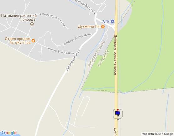 Схема рекламной плоскости по адресу Дніпровське шосе, 1 км після поворота на с.Лісники, траса Н-01 "Київ-Знам'янка", км 21+850 ліво