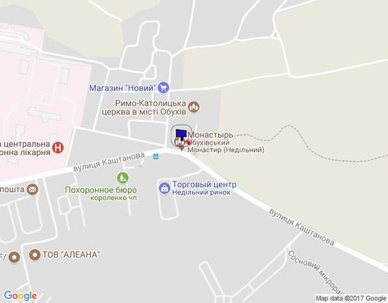 Схема рекламной плоскости по адресу м. Обухів, вул.. Каштанова, 22 (біля монастиря)