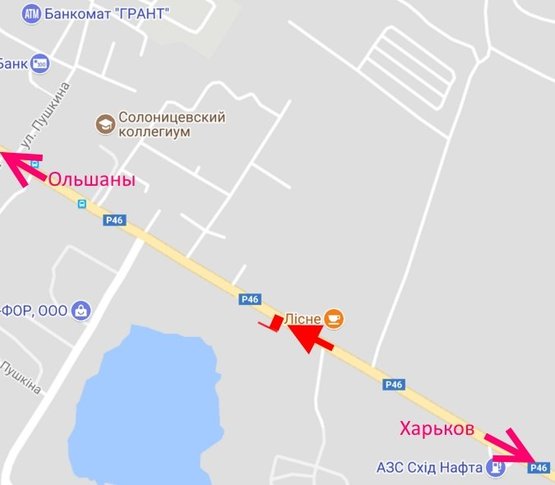 Схема рекламной плоскости по адресу пос. Солоницевка-кафе Лесное- в ст. Ольшан