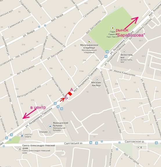 Схема рекламной плоскости по адресу ул. Ак. Павлова 111 из центра