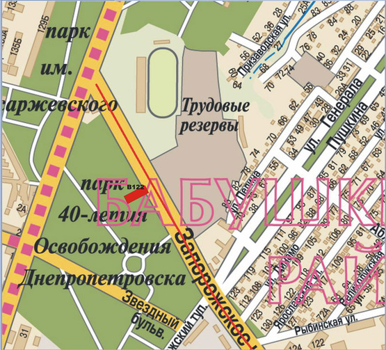 Схема рекламной плоскости по адресу Запорізьке шосе - 
парк Пісаржевського/Запорожское шоссе - парк Писаржевского, развилка, автосалон, поток к ТЦ Дафи