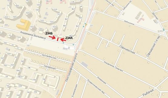 Схема рекламной плоскости по адресу ул. Академика Вильямса, 46/1