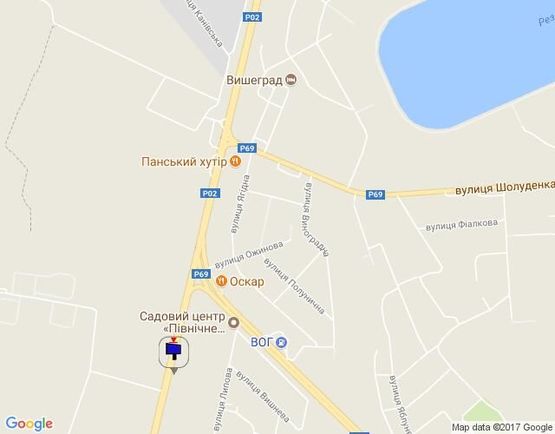 Схема рекламной плоскости по адресу Траса "Київ-Іванків-Овруч",  Р-02 км 19+300 право, поворот на завод SANDORA, HENKEL-Україна, перед КПП "Нові Петрівці"