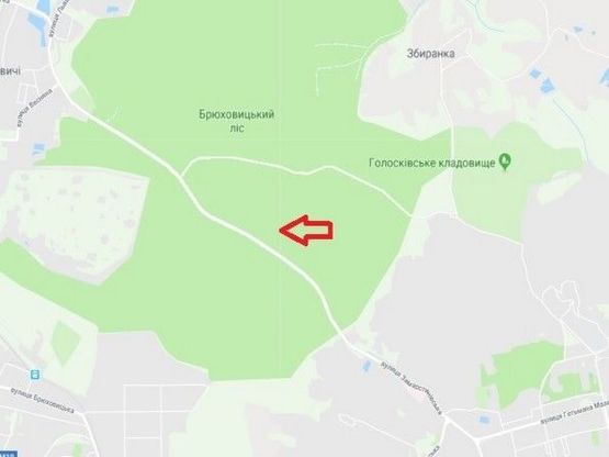 Схема рекламной плоскости по адресу Брюховичі від Львова