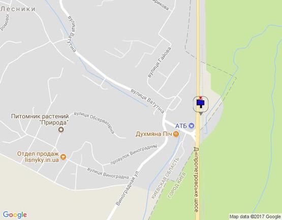 Схема рекламной плоскости по адресу Дніпровське шосе, поворот на с. Лісники, траса Н-01 "Київ-Знам'янка", км 20+700 ліво