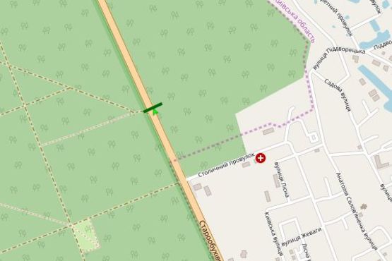 Схема рекламної площини за адресою Столичне шосе, (Конча-Заспа) км 29+300 "Козин" (в напрямку Києва)