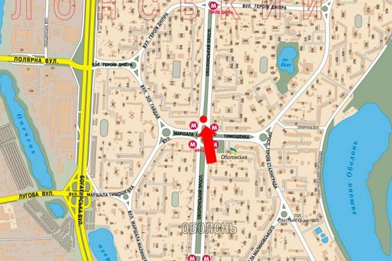 Схема рекламной плоскости по адресу Оболонский пр., ст. м. "Минская", ТРЦ "Dream Town", в центр