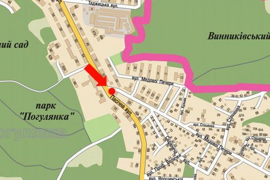 Схема рекламной плоскости по адресу Пасечная ул. / Медовой Пещеры ул., возле магазина "Индиго"